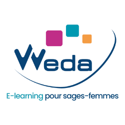 e-Learning SFL WEDA